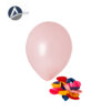 100pc Monochrome Balloon